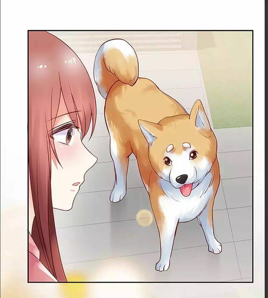 Bạn Trai 1/4 Của Tôi: Chapter 10