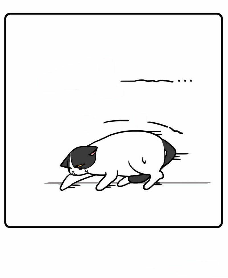 Hello Dư Tuyết Đặc: Chapter 1