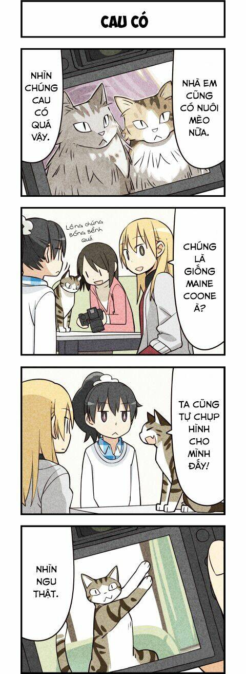 We Are Cat: Chapter 15