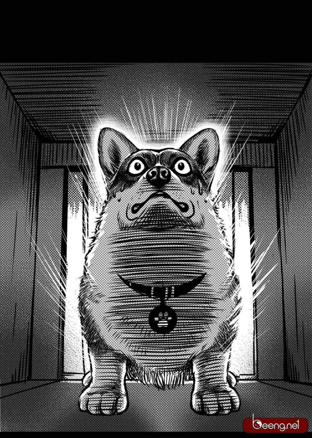 Dạ Hành Khuyển: Chapter 2