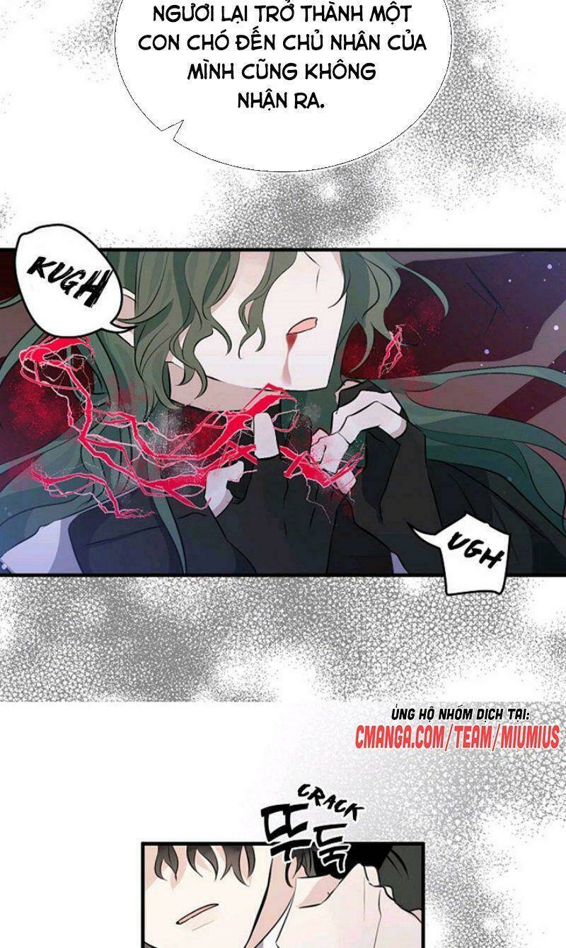 Tôi Là Bạn Gái Cũ Của Một Người Lính: Chapter 42