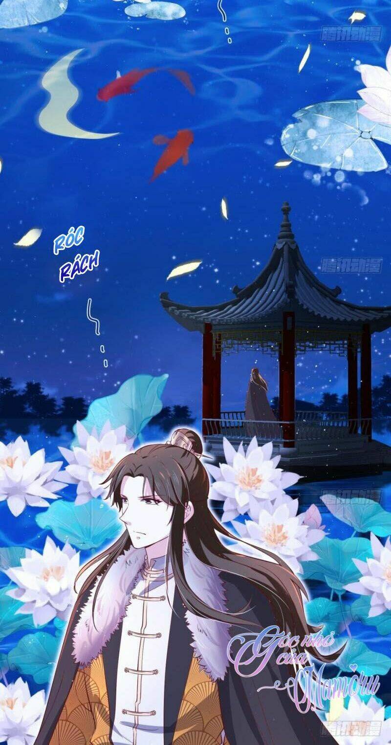 Hậu Cung Của Nữ Hoàng Có Chút Loạn: Chapter 11