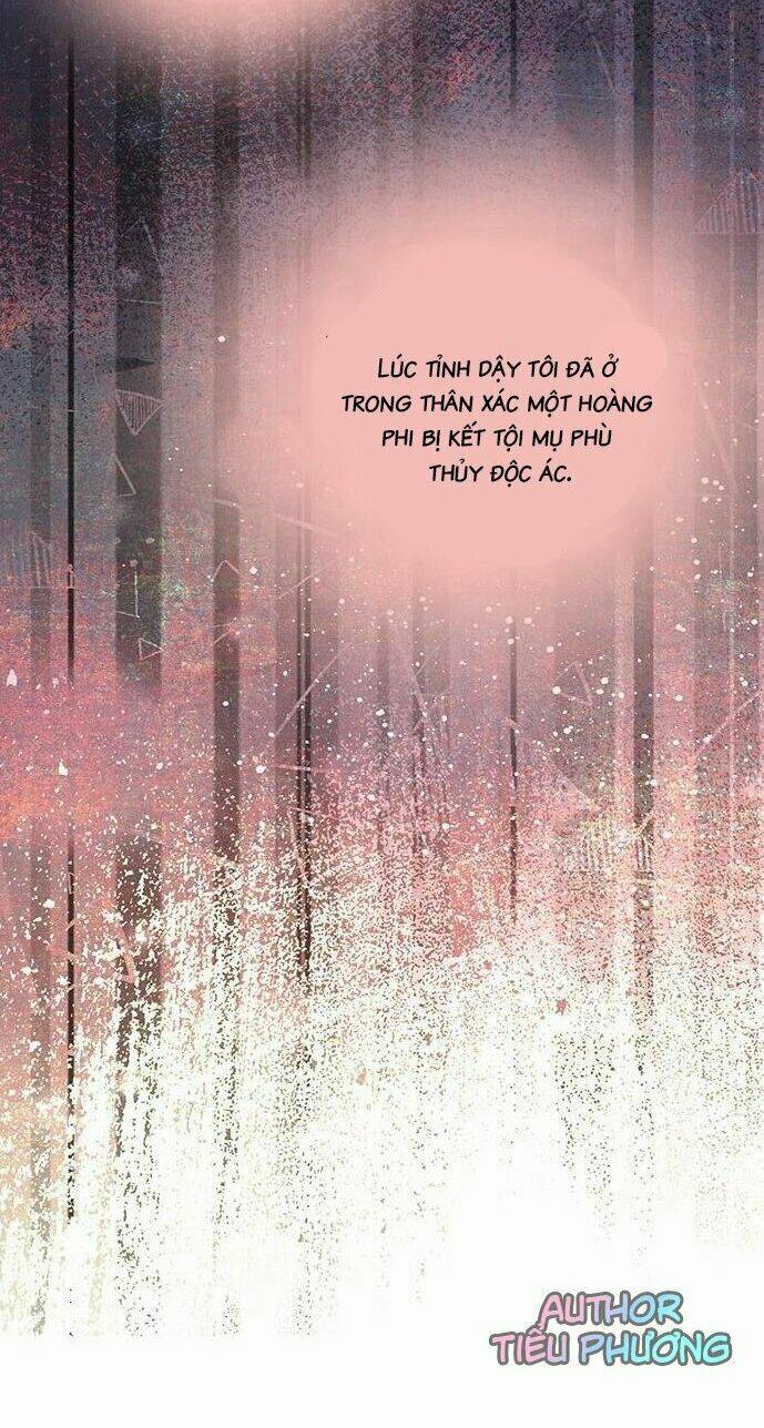 Bí Mật Của Hoàng Phi Isana: Chapter 1