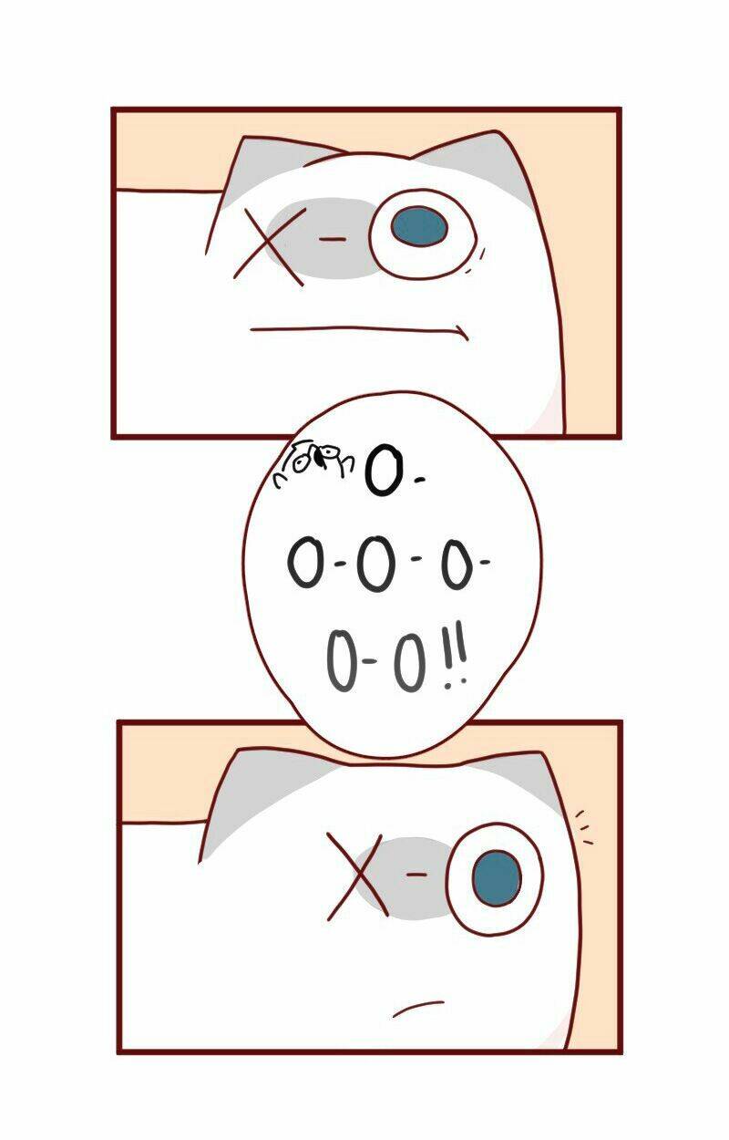 Saphie: Chú mèo một mắt: Chapter 9