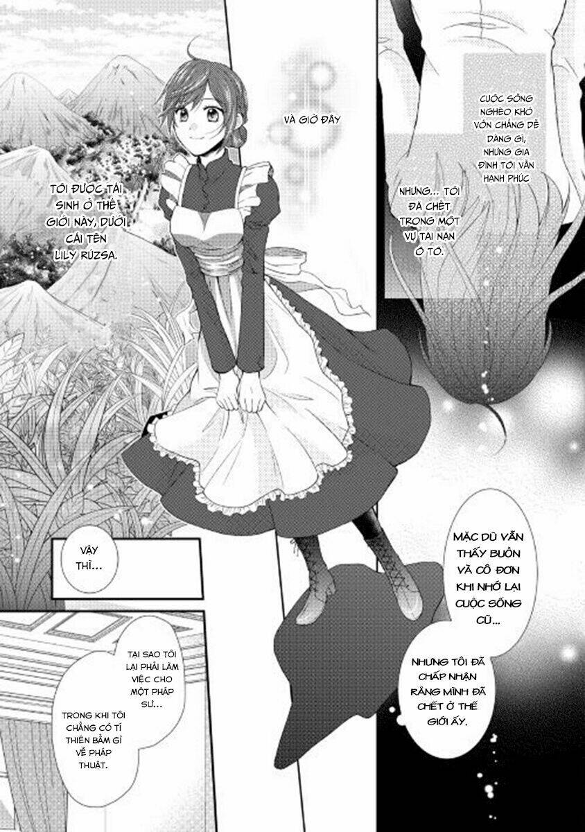 From Maid To Mother: Chapter 1