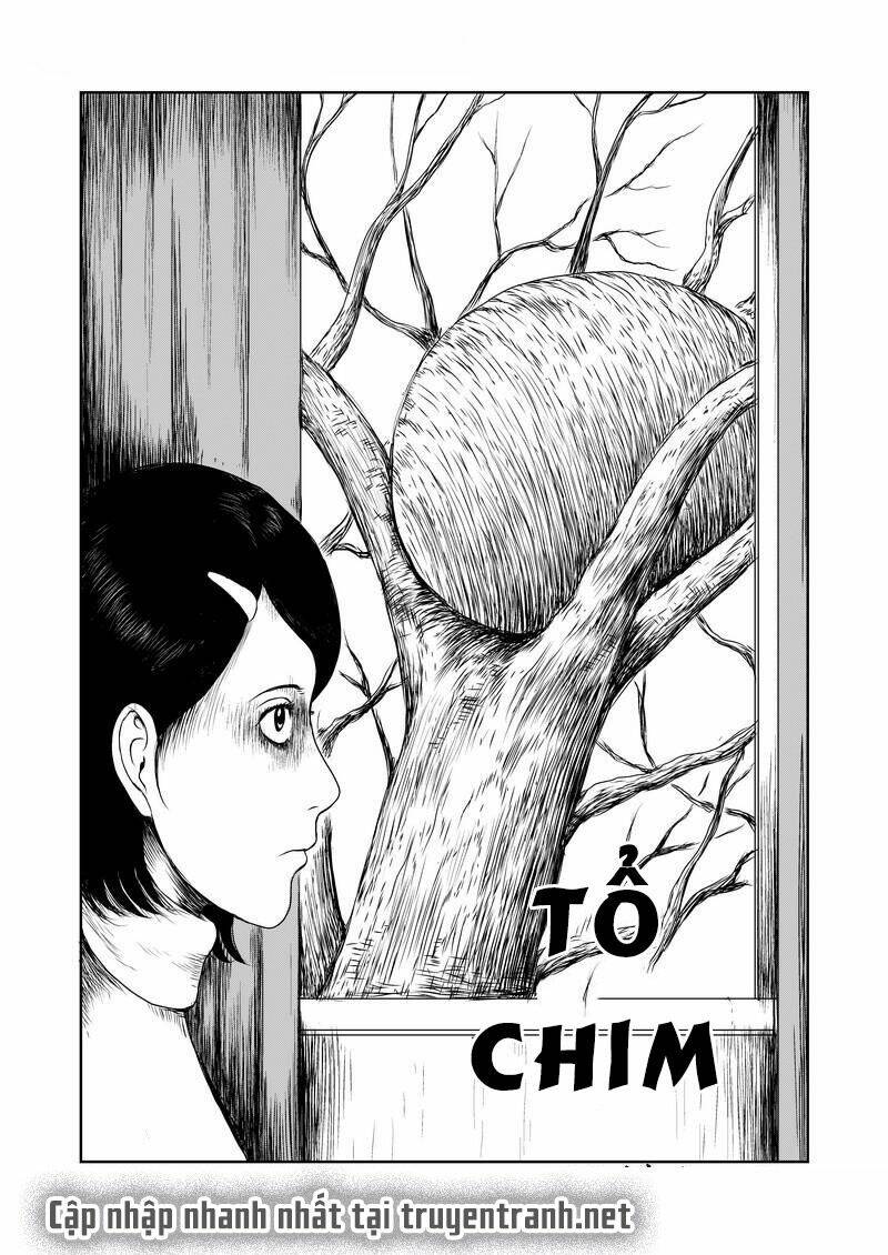 Mảnh Vỡ Ác Mộng: Chapter 1