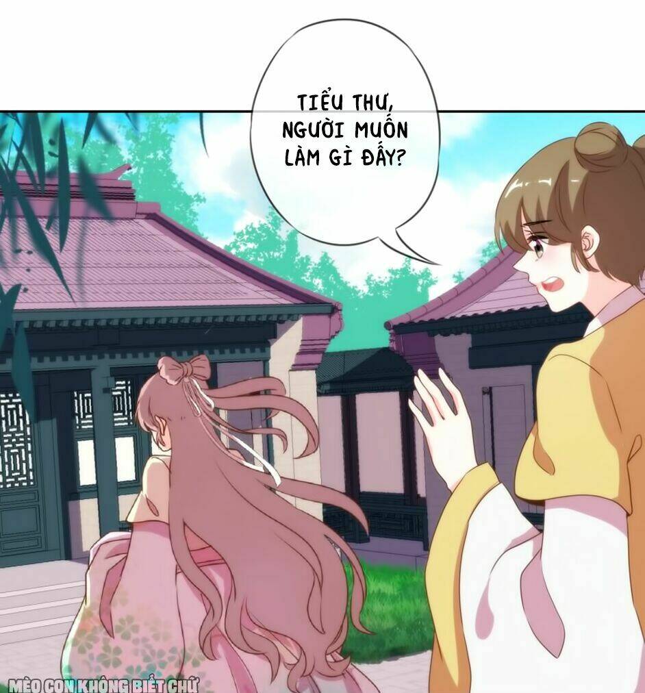 Ồ, Sủng Phi Đại Nhân Của Ta: Chapter 5