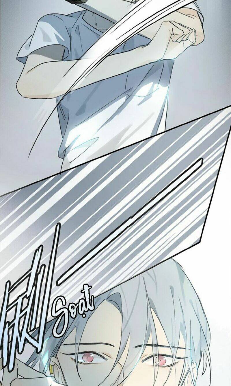 Phép Tắc Trường Ogus: Chapter 20