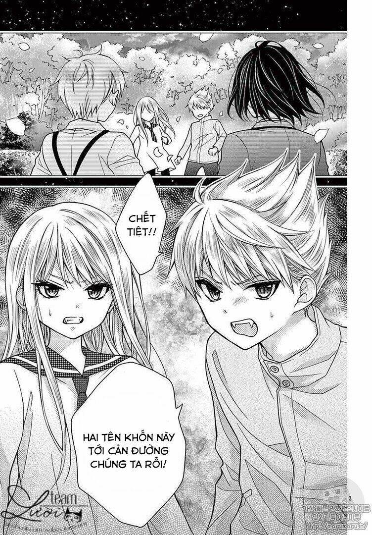 Máu Của Cậu Chỉ Thuộc Về Mình Tớ...: Chapter 33