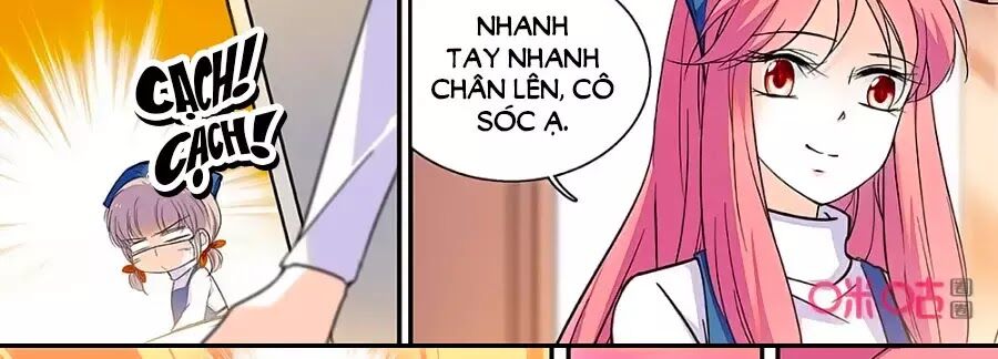 Thanh Ninh Chi Hạ: Chapter 442