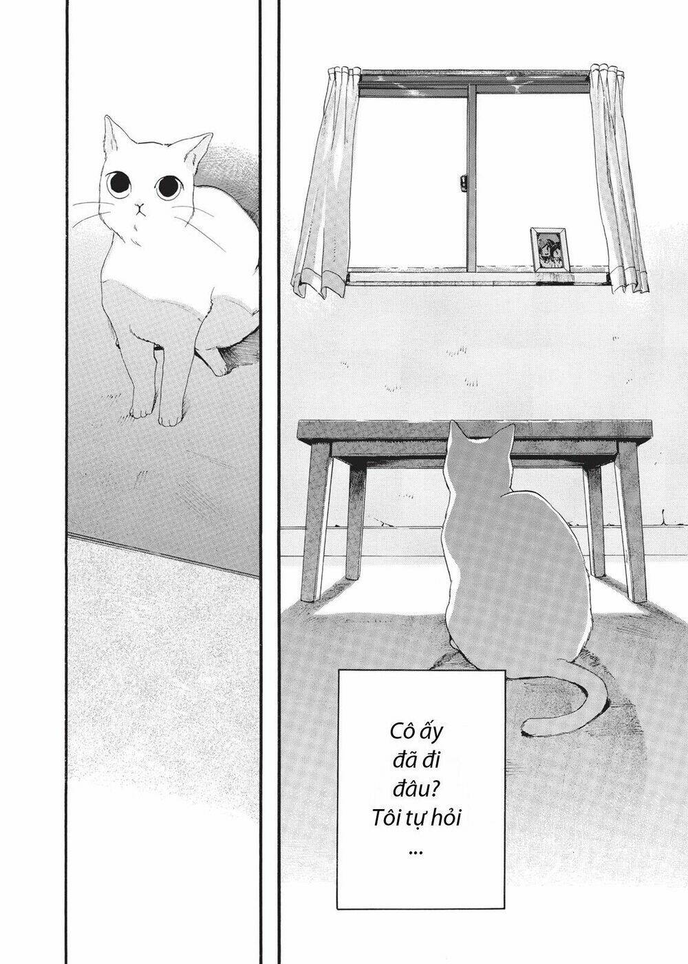 Chú Mèo Và Cô Chủ: Chapter 4
