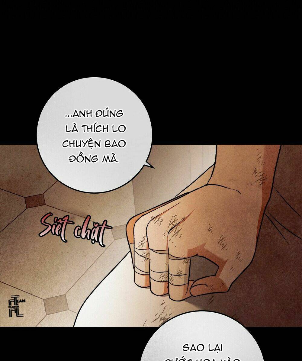 Lời Nói Dối Vĩnh Cửu: Chapter 29