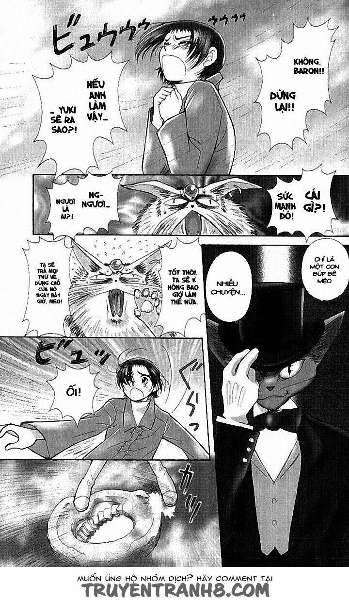 Lời Thì Thầm Từ Trái Tim: Chapter 8