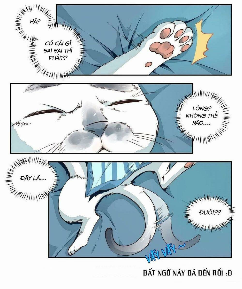 Thời Khắc Ấy, Chúng Ta Gặp Nhau: Chapter 1