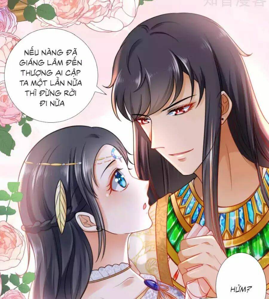 Sủng Hậu Của Vương: Chapter 15