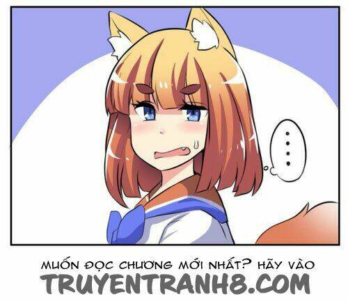 Internet Explorer: Chapter 7