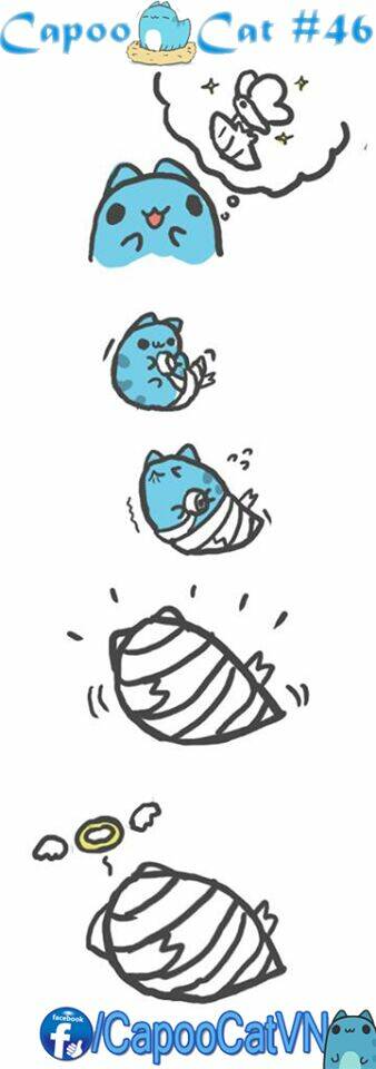 Capoo Cat: Chapter 5