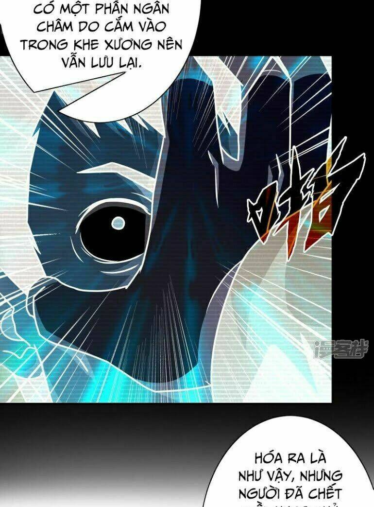 Hộ Hoa Cao Thủ Tại Đô Thị: Chapter 48