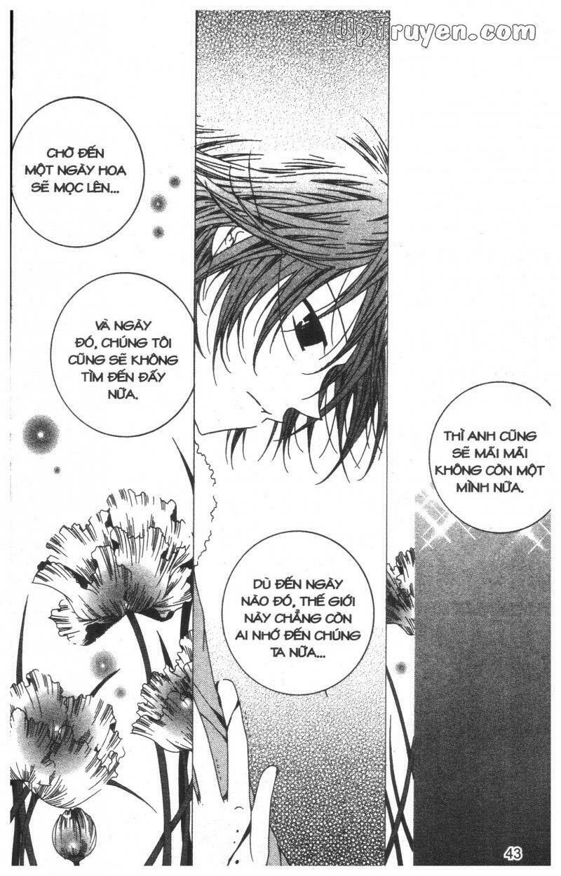 Nước Mắt Nàng Tiên Cá: Chapter 8