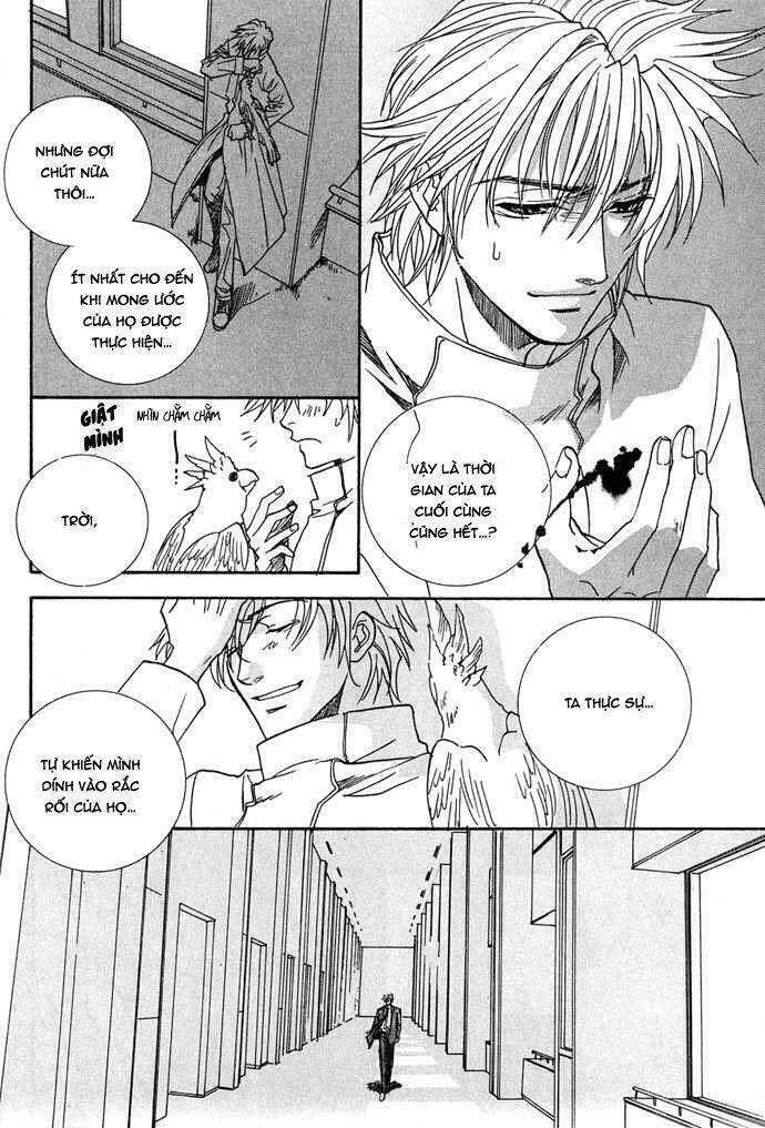 Innocent Bird: Chapter 12