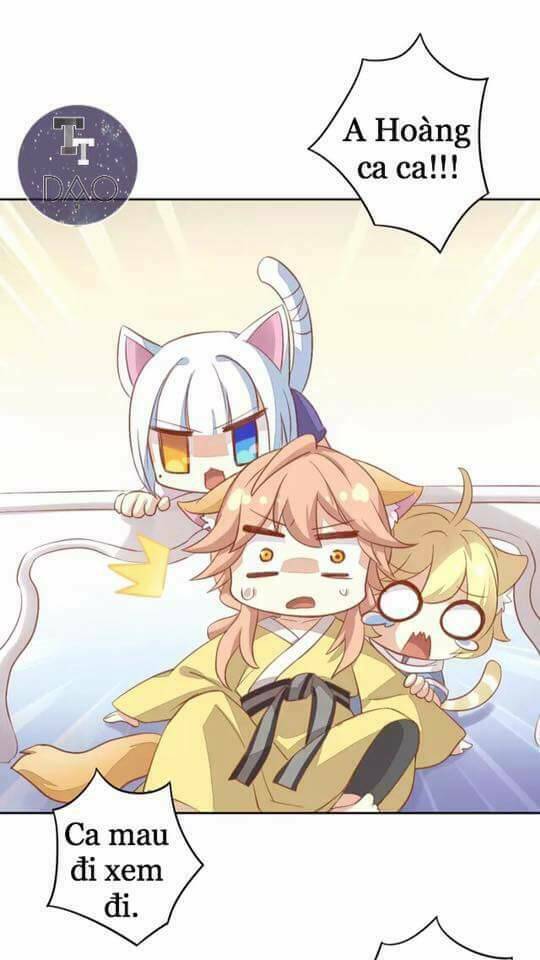 Dưới Móng Vuốt Mèo: Chapter 6