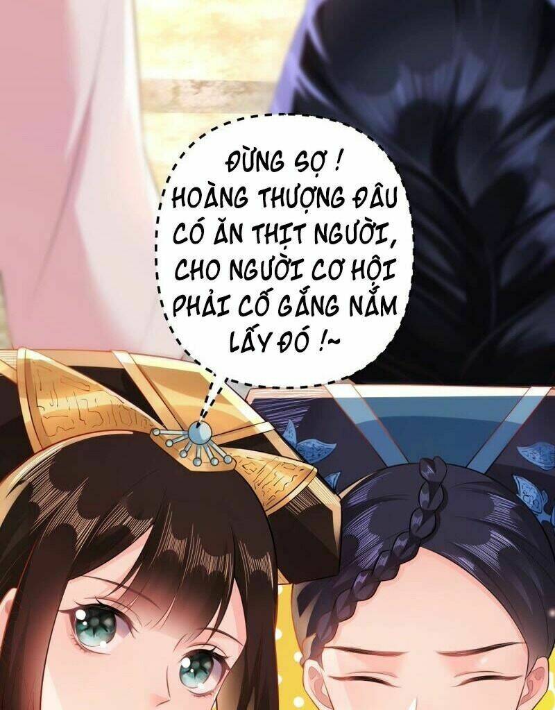 Quận Chúa Vững Vàng, Thiết Lập Nhân Vật Không Thể Vỡ: Chapter 49