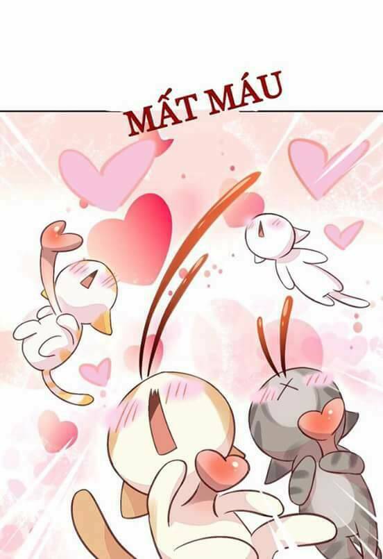 Dưới Móng Vuốt Mèo: Chapter 5