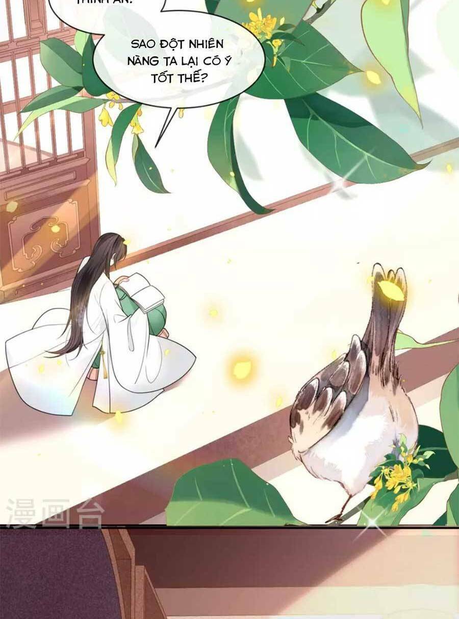 Tướng Quân, Bổn Phi Không Nhận Sủng: Chapter 48