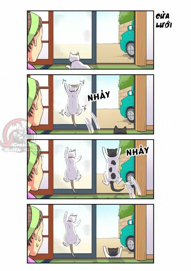 Cat is silver vine: Chapter 18