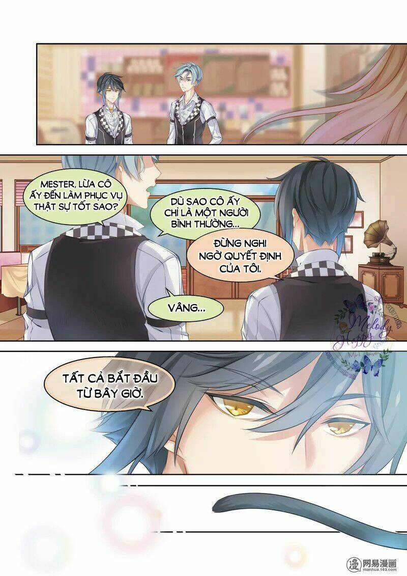 Xin Chào! Coffee Cat's: Chapter 2