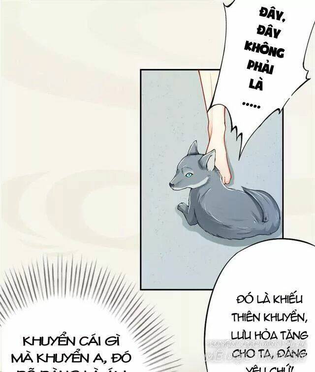 Tuyệt Thế Luyện Đan Sư: Chapter 17