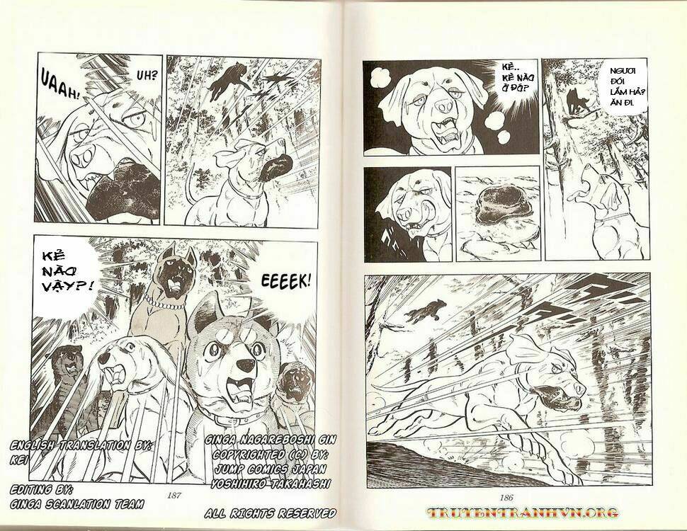 Chú Chó Có Nghĩa - Ginga Nagareboshi Gin: Chapter 16