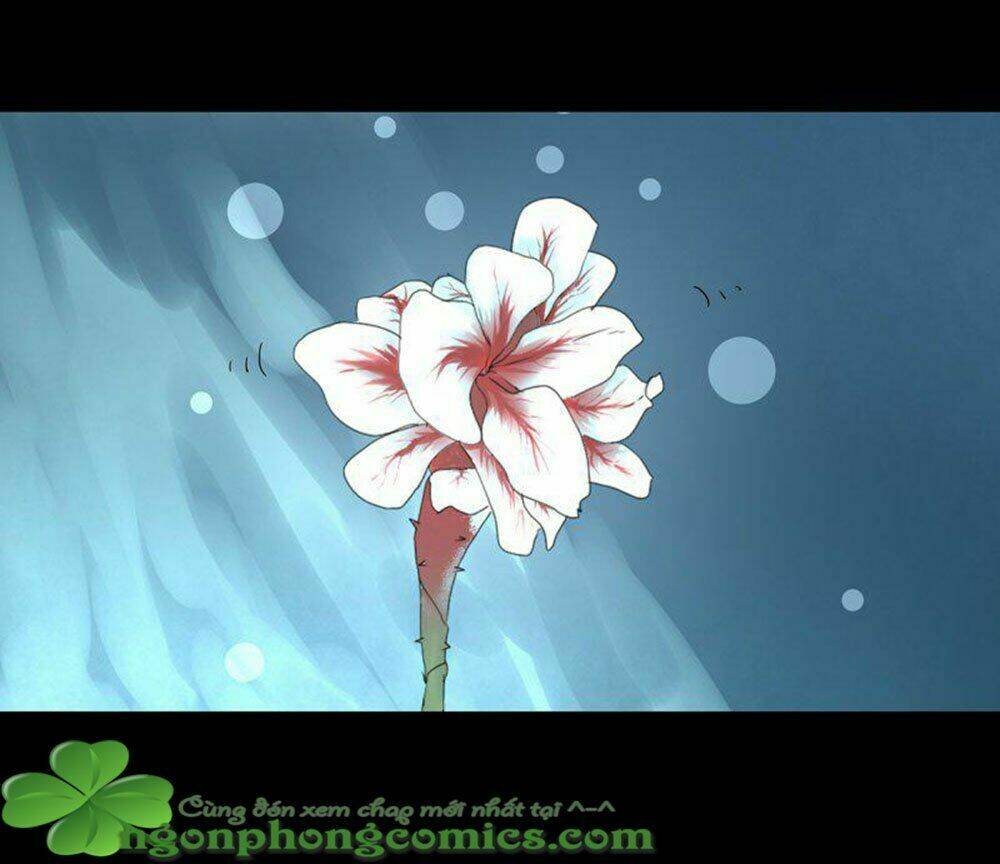 Hỏa Hồ: Chapter 18