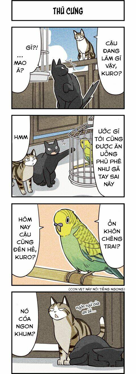 We Are Cat: Chapter 10