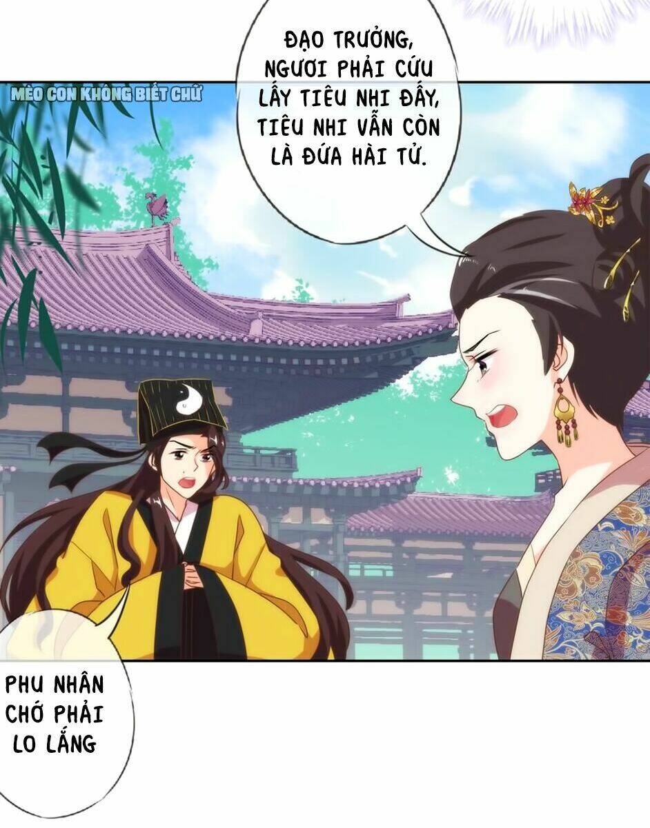 Ồ, Sủng Phi Đại Nhân Của Ta: Chapter 3