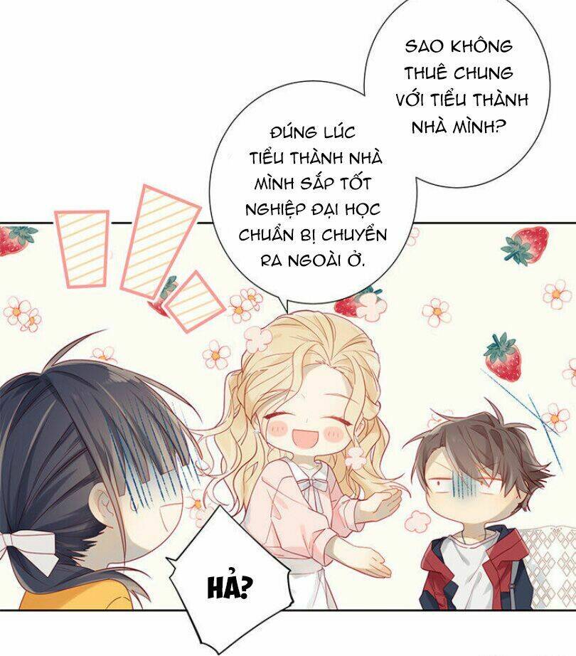 Lời Thề Như Sương Triều: Chapter 5