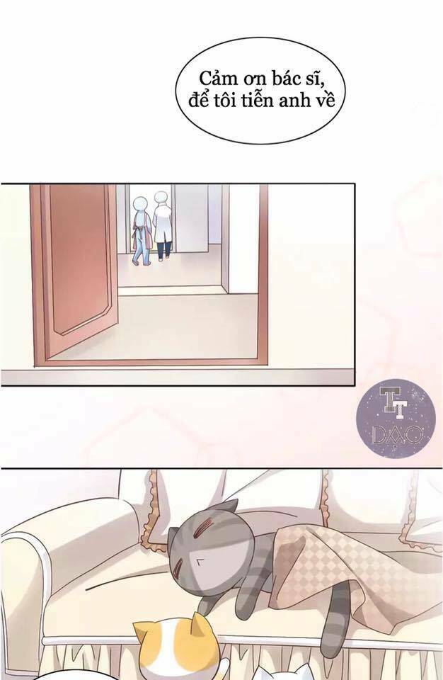 Dưới Móng Vuốt Mèo: Chapter 19
