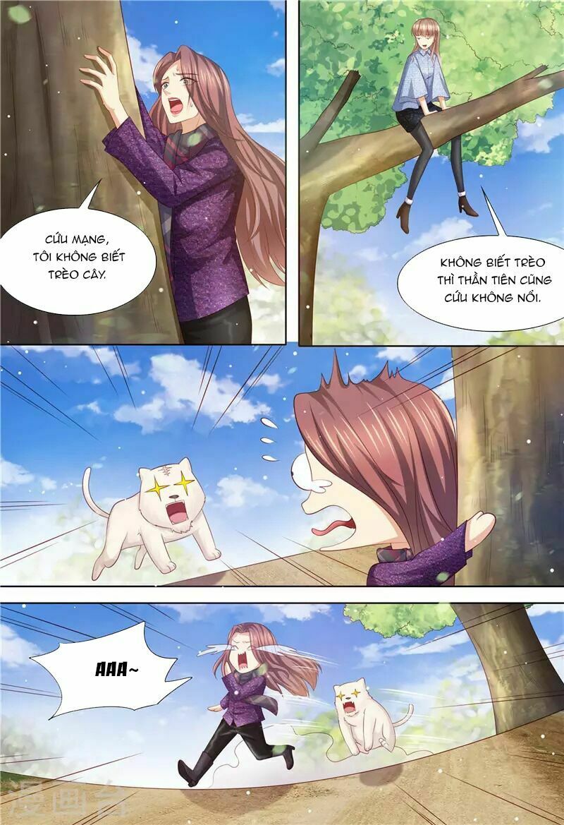 Cưng Chiều Vợ Yêu: Chapter 197