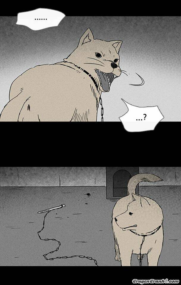 Những Câu Chuyện Bất Thường: Chapter 84