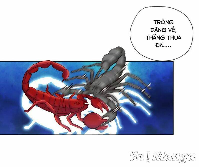 Độc Y Cuồng Phi: Chapter 29