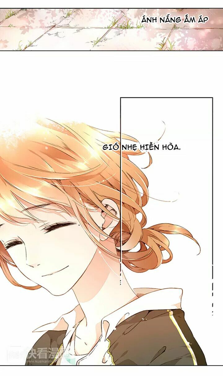 Tình yêu là màu hoa anh thảo: Chapter 16.3