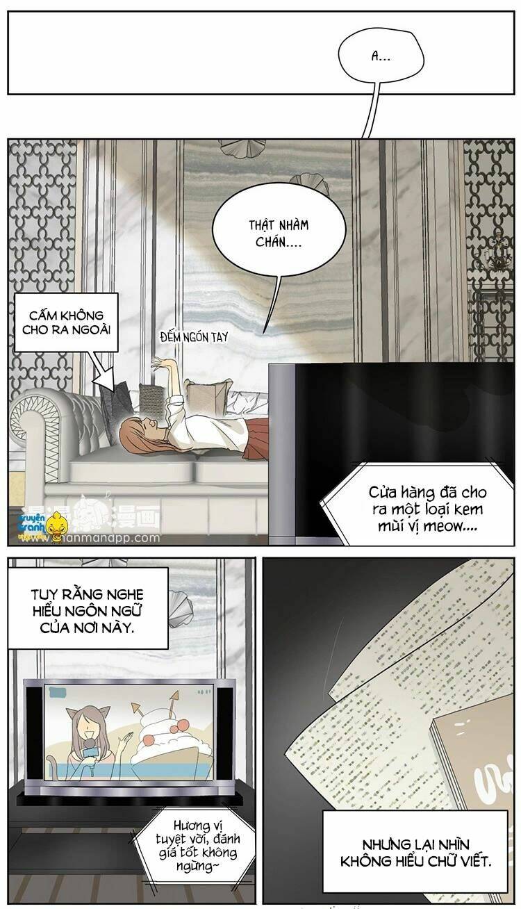 Phục Thù Thiếu Gia Tiểu Điềm Thê: Chapter 8