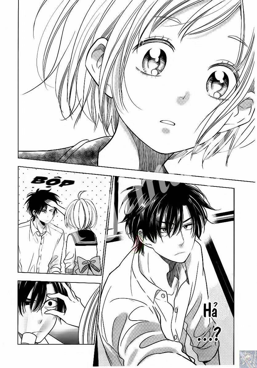 Buổi Xem Mắt Bất Đắc Dĩ: Chapter 34