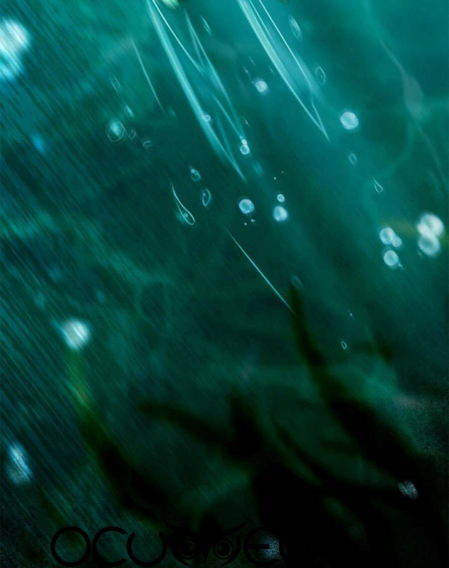 Nghịch Thiên Thần Phi Chí Thượng: Chapter 51