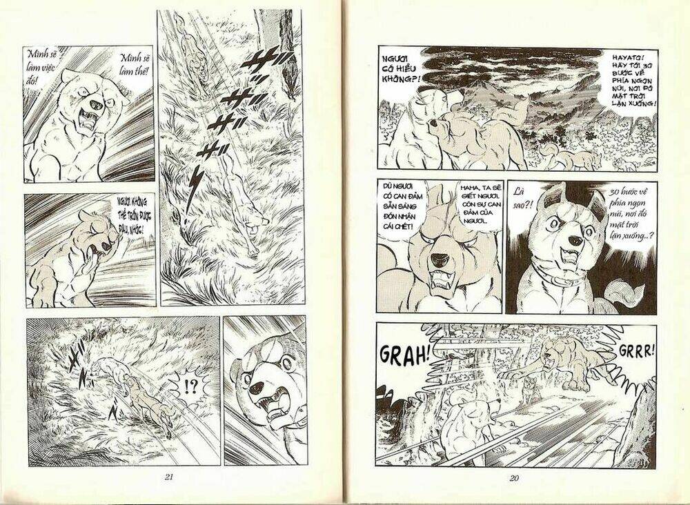 Chú Chó Có Nghĩa - Ginga Nagareboshi Gin: Chapter 19