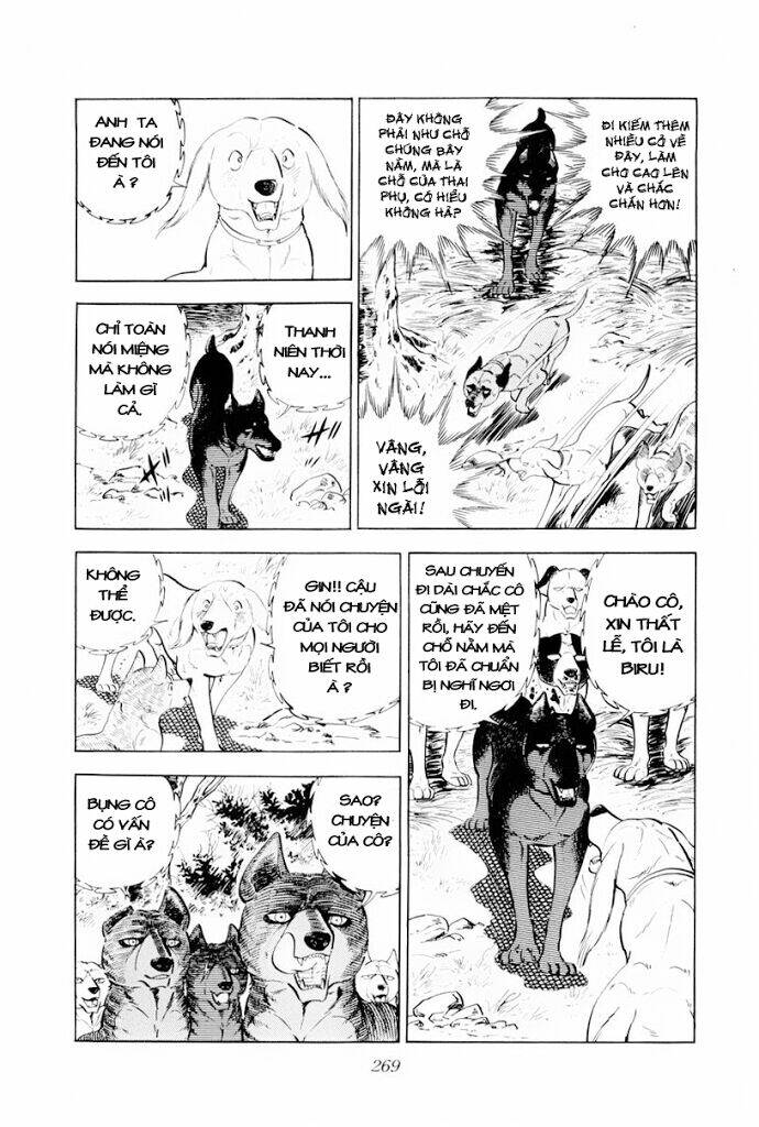 Chú Chó Có Nghĩa - Ginga Nagareboshi Gin: Chapter 30.1