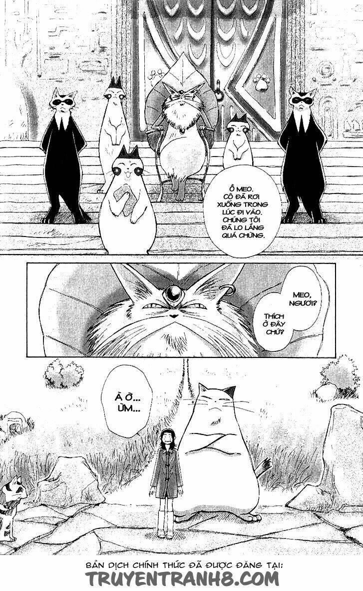 Lời Thì Thầm Từ Trái Tim: Chapter 8