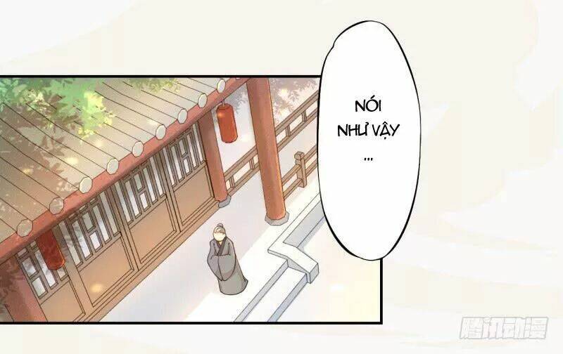 Tuyệt Thế Luyện Đan Sư: Chapter 31