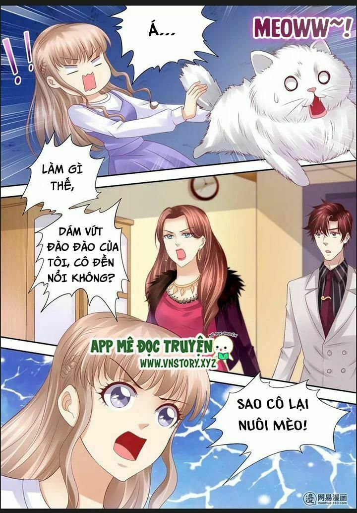 Cưng Chiều Vợ Yêu: Chapter 72: Hôn nhân không tình yêu