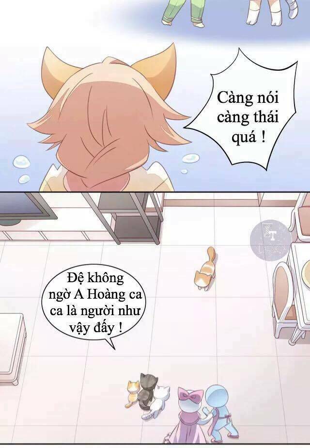 Dưới Móng Vuốt Mèo: Chapter 14